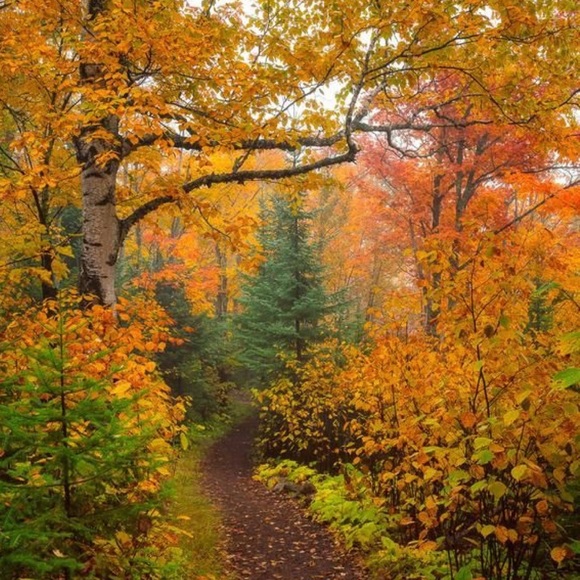 Meet your Posher, RF - Picture 5 of 16